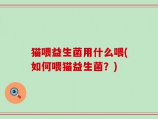 猫喂益生菌用什么喂(如何喂猫益生菌？)