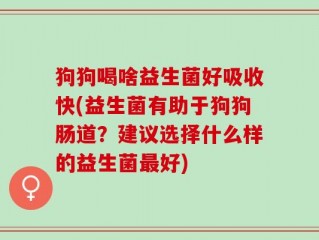 狗狗喝啥益生菌好吸收快(益生菌有助于狗狗肠道？建议选择什么样的益生菌最好)