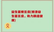 益生菌嫩豆腐(嫩滑益生菌豆腐，助力肠道健康)