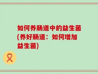 如何养肠道中的益生菌(养好肠道：如何增加益生菌)