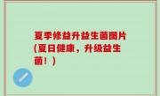 夏季修益升益生菌图片(夏日健康，升级益生菌！)