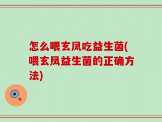 怎么喂玄凤吃益生菌(喂玄凤益生菌的正确方法)