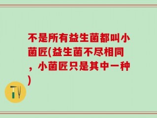 不是所有益生菌都叫小菌匠(益生菌不尽相同，小菌匠只是其中一种)