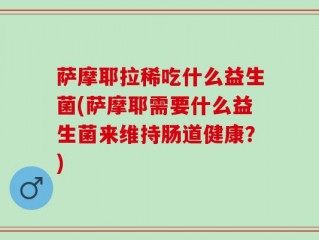 萨摩耶拉稀吃什么益生菌(萨摩耶需要什么益生菌来维持肠道健康？)