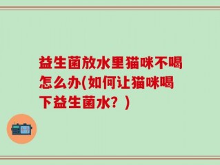 益生菌放水里猫咪不喝怎么办(如何让猫咪喝下益生菌水？)