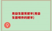 用益生菌育肥羊(用益生菌喂养的肥羊)