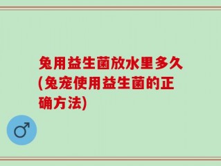 兔用益生菌放水里多久(兔宠使用益生菌的正确方法)