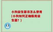 小狗益生菌该怎么使用(小狗如何正确服用益生菌？)