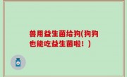 兽用益生菌给狗(狗狗也能吃益生菌啦！)