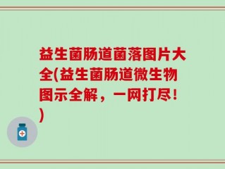 益生菌肠道菌落图片大全(益生菌肠道微生物图示全解，一网打尽！)