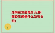 加酶益生菌是什么用(酶益生菌是什么功效介绍)