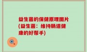 益生菌的保健原理图片(益生菌：维持肠道健康的好帮手)