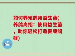 如何养殖鸽用益生菌(养鸽高招：使用益生菌，助你轻松打造健康鸽群)