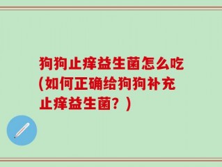 狗狗止痒益生菌怎么吃(如何正确给狗狗补充止痒益生菌？)