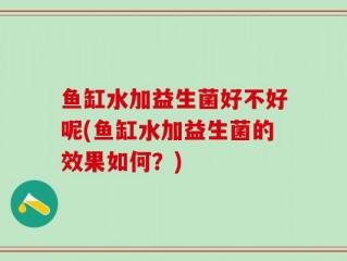 鱼缸水加益生菌好不好呢(鱼缸水加益生菌的效果如何？)