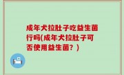 成年犬拉肚子吃益生菌行吗(成年犬拉肚子可否使用益生菌？)