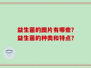 益生菌的图片有哪些？益生菌的种类和特点？