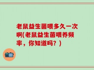 老鼠益生菌喂多久一次啊(老鼠益生菌喂养频率，你知道吗？)