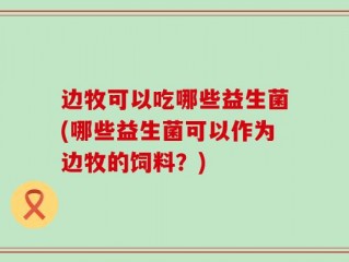 边牧可以吃哪些益生菌(哪些益生菌可以作为边牧的饲料？)