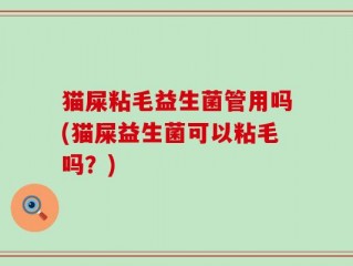 猫屎粘毛益生菌管用吗(猫屎益生菌可以粘毛吗？)