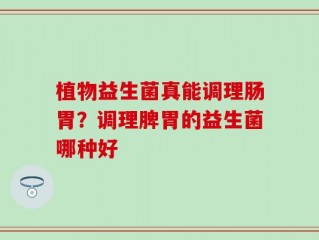 植物益生菌真能调理肠胃？调理脾胃的益生菌哪种好