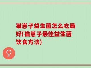 猫崽子益生菌怎么吃最好(猫崽子最佳益生菌饮食方法)