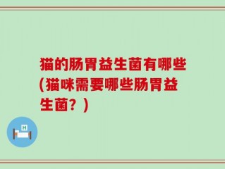 猫的肠胃益生菌有哪些(猫咪需要哪些肠胃益生菌？)