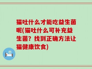 猫吐什么才能吃益生菌呢(猫吐什么可补充益生菌？找到正确方法让猫健康饮食)