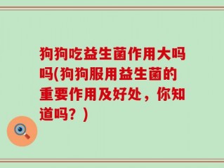 狗狗吃益生菌作用大吗吗(狗狗服用益生菌的重要作用及好处，你知道吗？)