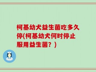 柯基幼犬益生菌吃多久停(柯基幼犬何时停止服用益生菌？)