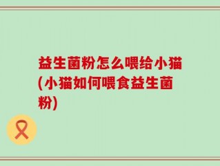益生菌粉怎么喂给小猫(小猫如何喂食益生菌粉)