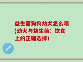 益生菌狗狗幼犬怎么喂(幼犬与益生菌：饮食上的正确选择)