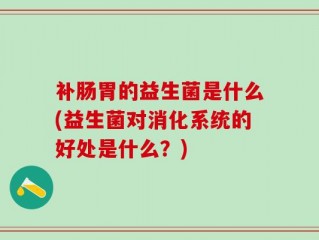 补肠胃的益生菌是什么(益生菌对消化系统的好处是什么？)