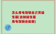 怎么用电饭锅自己弄益生菌(自制益生菌  用电饭锅也能做)