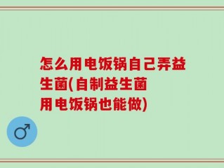 怎么用电饭锅自己弄益生菌(自制益生菌  用电饭锅也能做)