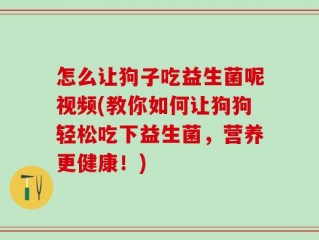 怎么让狗子吃益生菌呢视频(教你如何让狗狗轻松吃下益生菌，营养更健康！)