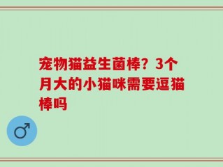 宠物猫益生菌棒？3个月大的小猫咪需要逗猫棒吗