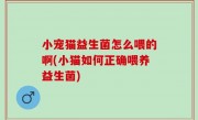小宠猫益生菌怎么喂的啊(小猫如何正确喂养益生菌)