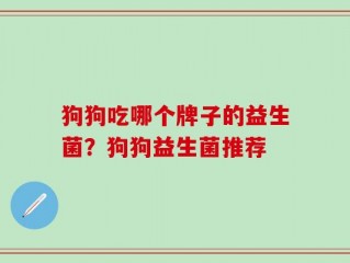 狗狗吃哪个牌子的益生菌？狗狗益生菌推荐