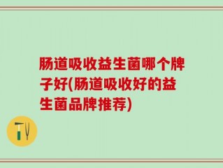 肠道吸收益生菌哪个牌子好(肠道吸收好的益生菌品牌推荐)