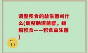 调整积食的益生菌叫什么(调整肠道菌群，缓解积食——积食益生菌)