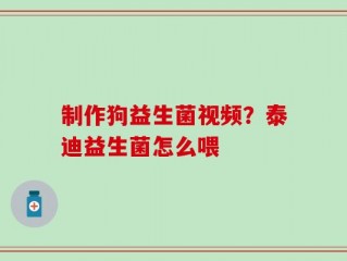 制作狗益生菌视频？泰迪益生菌怎么喂