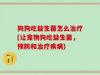 狗狗吃益生菌怎么治疗(让宠物狗吃益生菌，预防和治疗疾病)