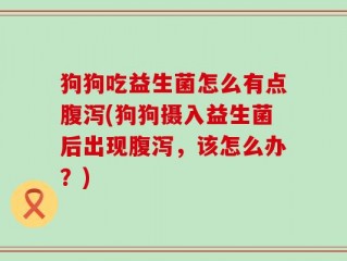 狗狗吃益生菌怎么有点腹泻(狗狗摄入益生菌后出现腹泻，该怎么办？)