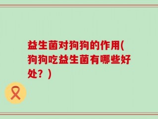 益生菌对狗狗的作用(狗狗吃益生菌有哪些好处？)