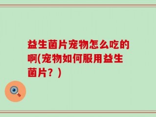 益生菌片宠物怎么吃的啊(宠物如何服用益生菌片？)