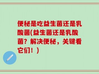 便秘是吃益生菌还是乳酸菌(益生菌还是乳酸菌？解决便秘，关键看它们！)