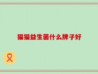 猫猫益生菌什么牌子好