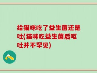 给猫咪吃了益生菌还是吐(猫咪吃益生菌后呕吐并不罕见)