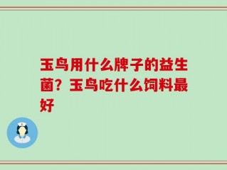 玉鸟用什么牌子的益生菌？玉鸟吃什么饲料最好